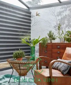 Rèm Cầu Vồng Cản Nắng Star-Blinds