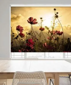 Mẫu rèm cuốn in tranh đẹp siêu nét